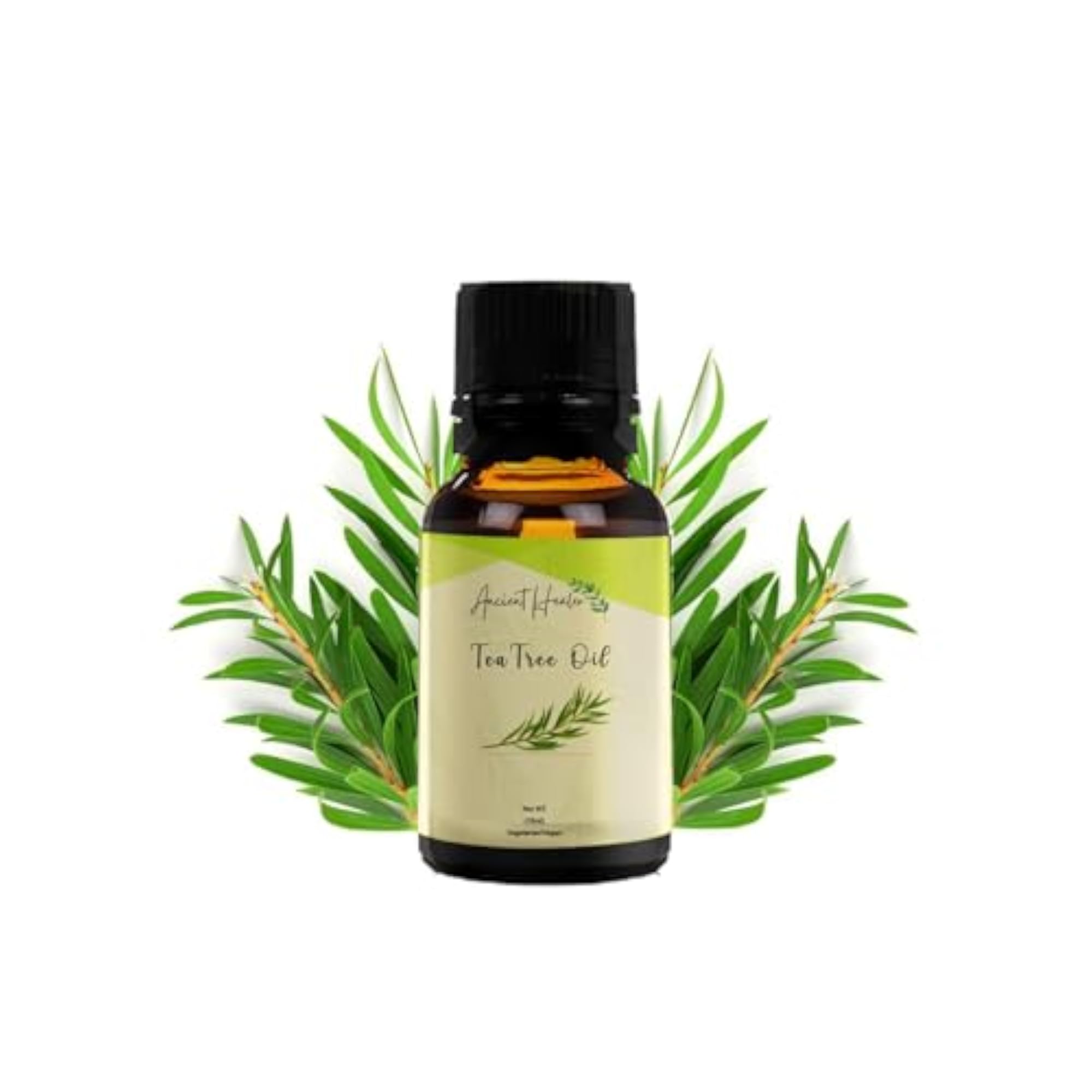 ANCIENT HEALER Tea Tree Essential Oil, Natural & Organic